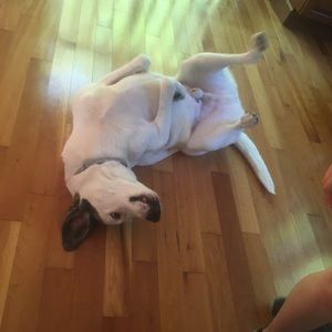 Meet your Posher, Brynn